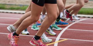 Are You A Sports Fan Or Sports Fanatic?