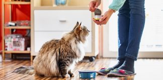 An Influence of Fashion on Society influence