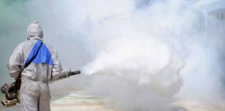 Indoor Vermin Control – Make Your Home Cockroach Free!