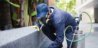 The Little-Hyped, Yet Extremely Efficient Insect Control Approaches Explored pest control Adelaide