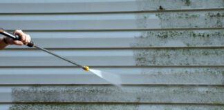 Why A Community Water Damages Removal Firm Is Your Finest Alternative mold removal wallingford pa