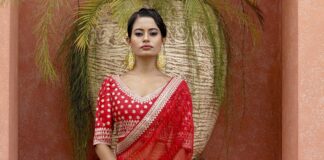 6 Tips to Help You Pick the Perfect Saree saree online