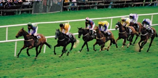 Horse Racing – Probabilities of Winning online horse racing betting site singapore