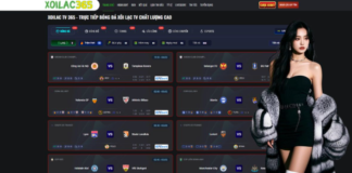 The Ultimate Guide to the Global Football Experience